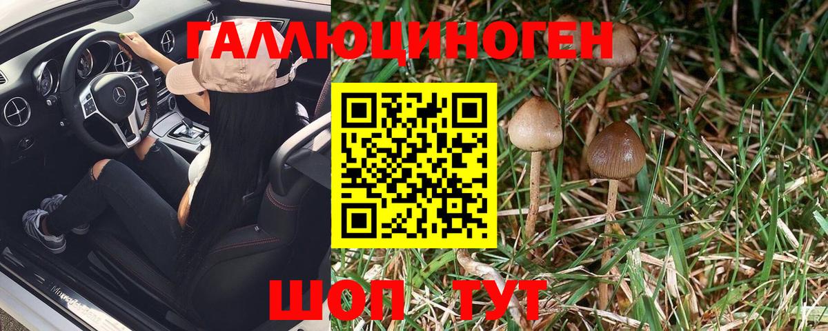 Псилоцибиновые грибы Magic Shrooms  Вход с VPN  Нижневартовск 